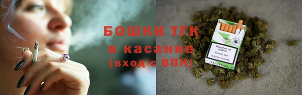 шишки Баксан