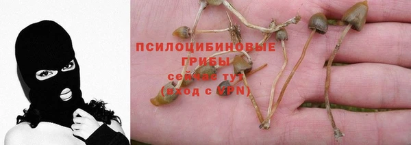 мяу мяу кристалл Армянск