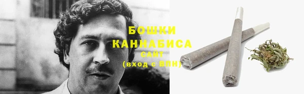 шишки Баксан