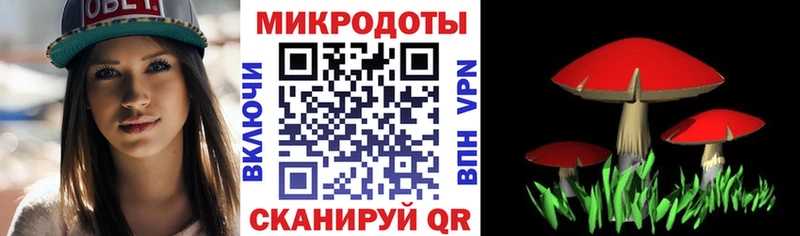 Купить закладки  Озёры  Галлюциногенные грибы GOLDEN TEACHER 